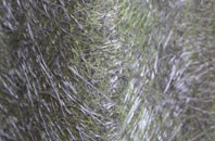 Hethersett fibreglass roof work